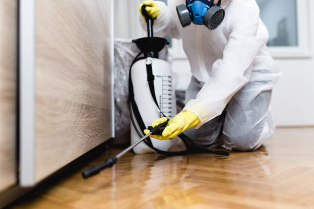 Best Pest Control for Restaurants  in Gluckstadt, MS