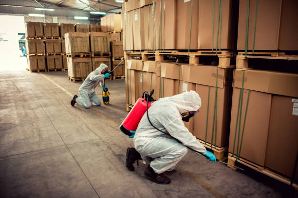 Best Emergency Pest Control  in Gluckstadt, MS