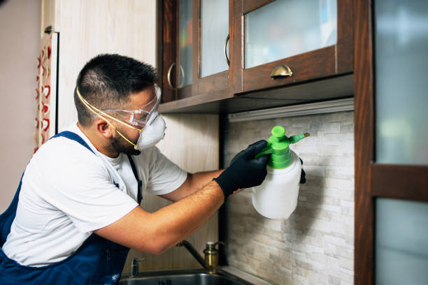 Best Best Pest Control Companies  in Gluckstadt, MS