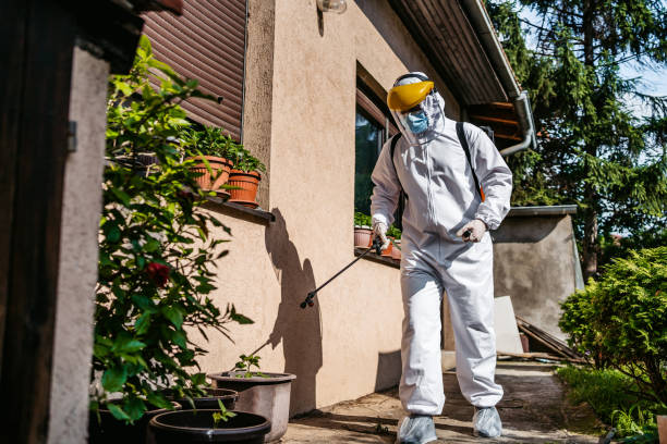 Best Exterminator Services  in Gluckstadt, MS
