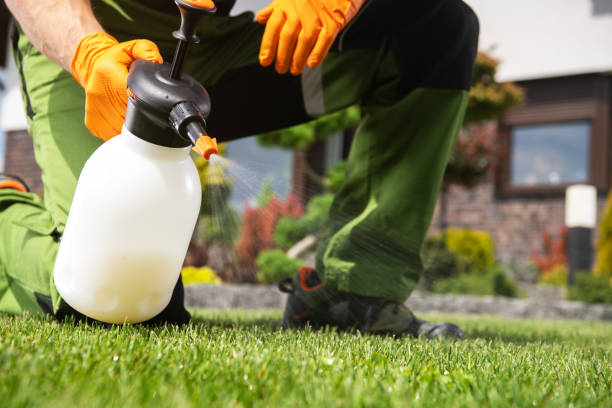Best Pest Control for Homes  in Gluckstadt, MS