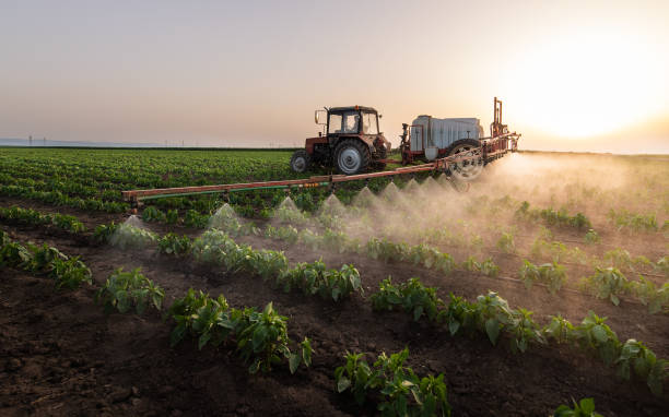 Best Insect Control  in Gluckstadt, MS